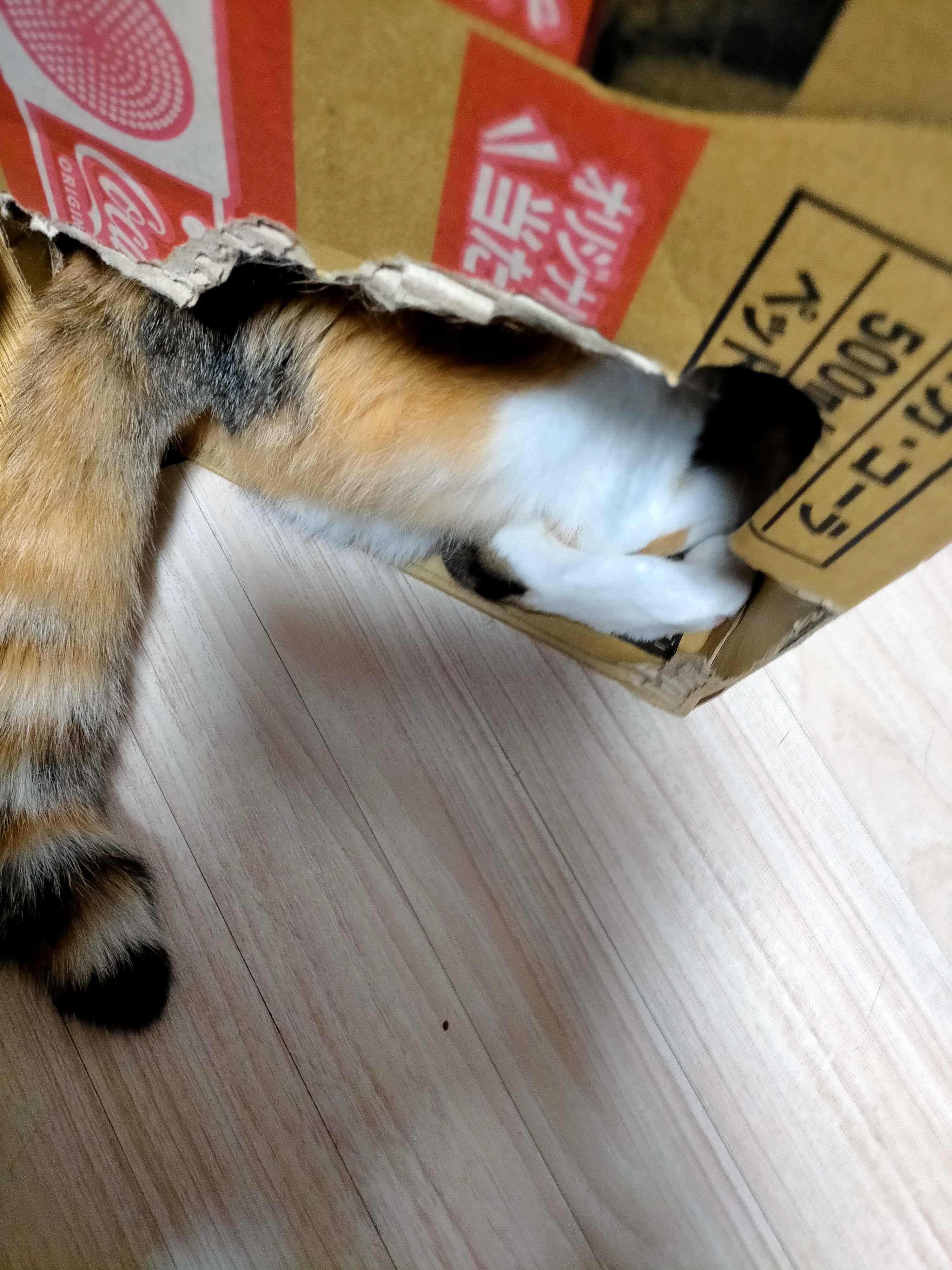 IMG20220919093055.jpg