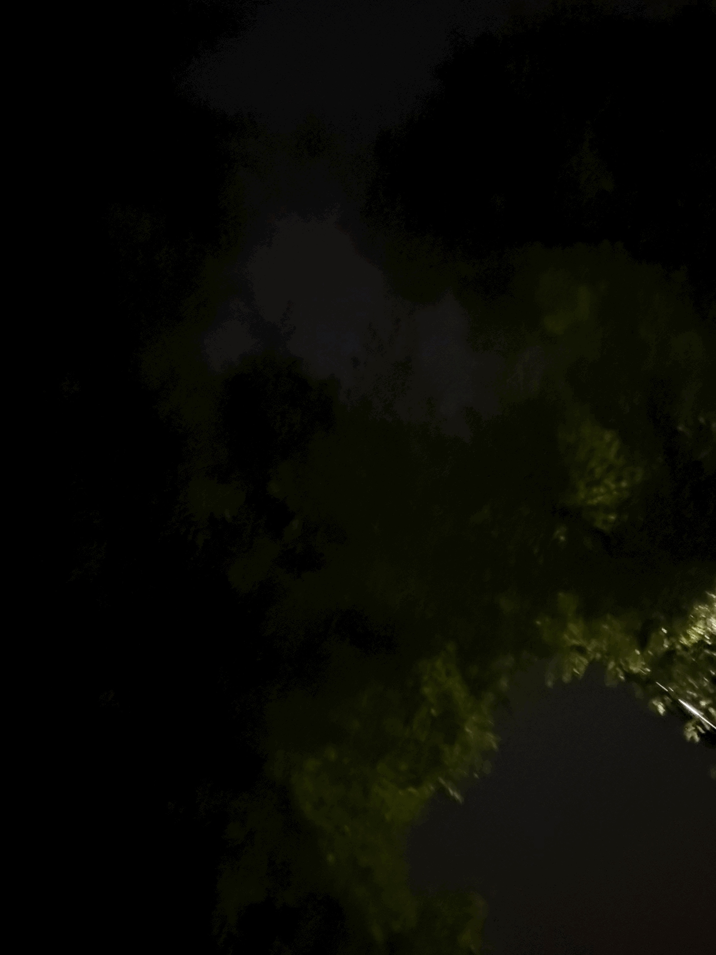 tempImageBxLTIr.gif