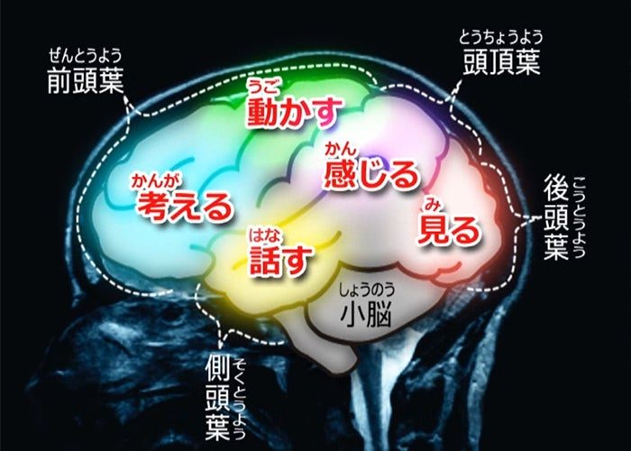 手相.jpeg