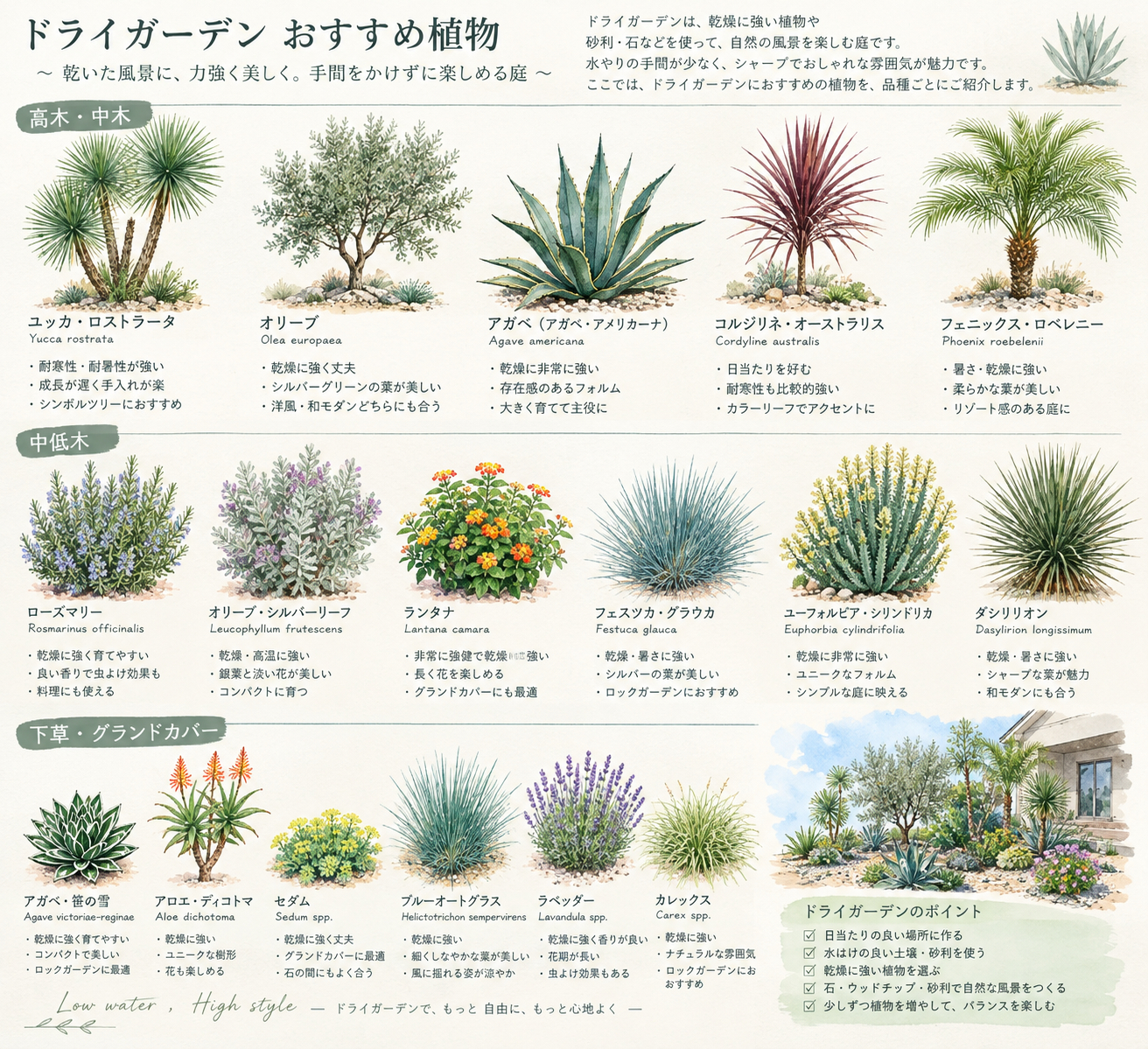 ドライガーデンおすすめ植物図鑑.png