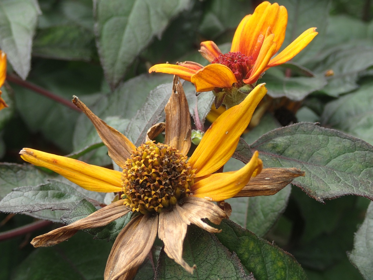 PA120301.JPG