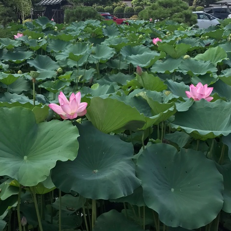 スクリーンショット 2025-08-22 13.37.48.png