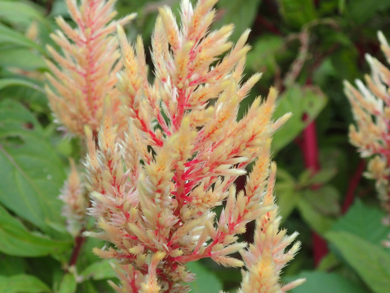 PA120399.JPG