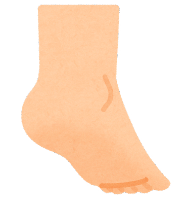 body_foot_kakato.png
