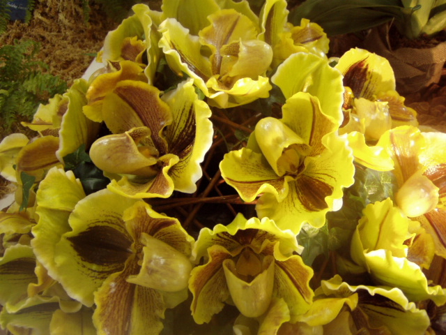 P1010090.JPG