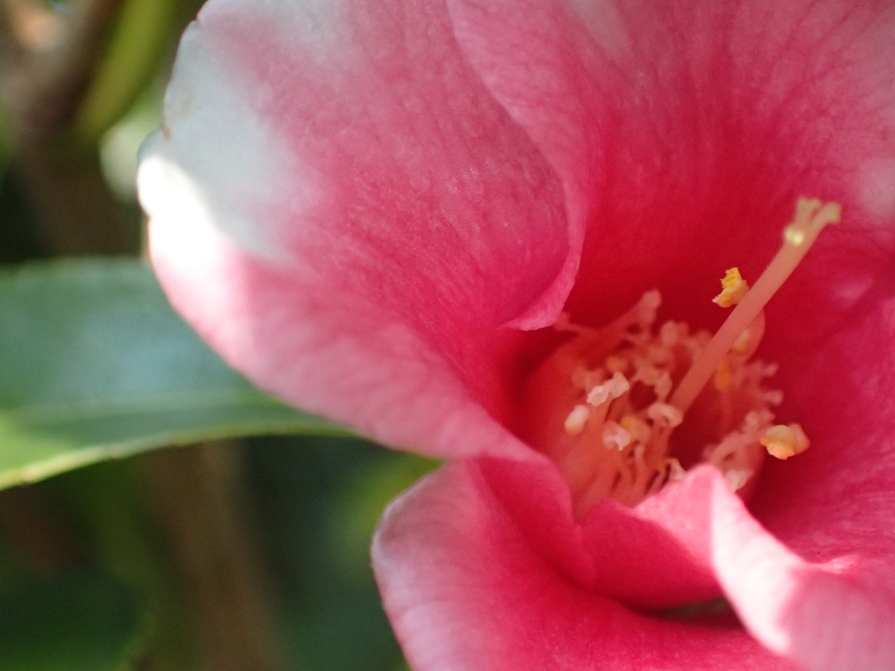 P3220140.JPG