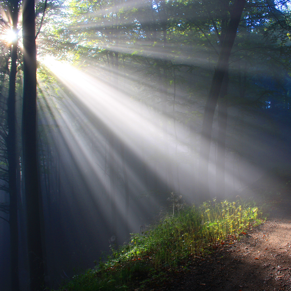 名称未設定のデザイン - 2024-08-08T104131.434.png