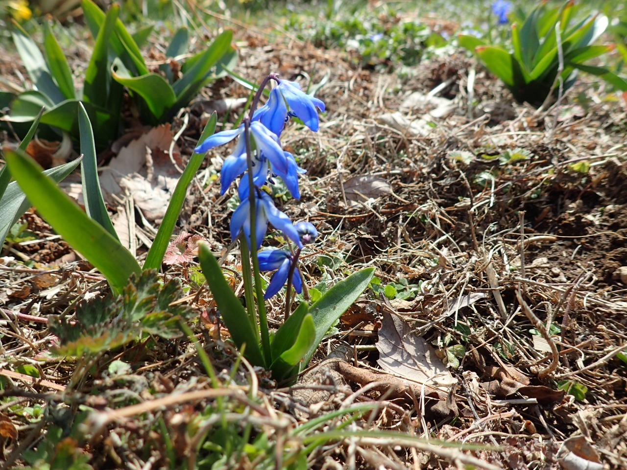 P3170499.JPG
