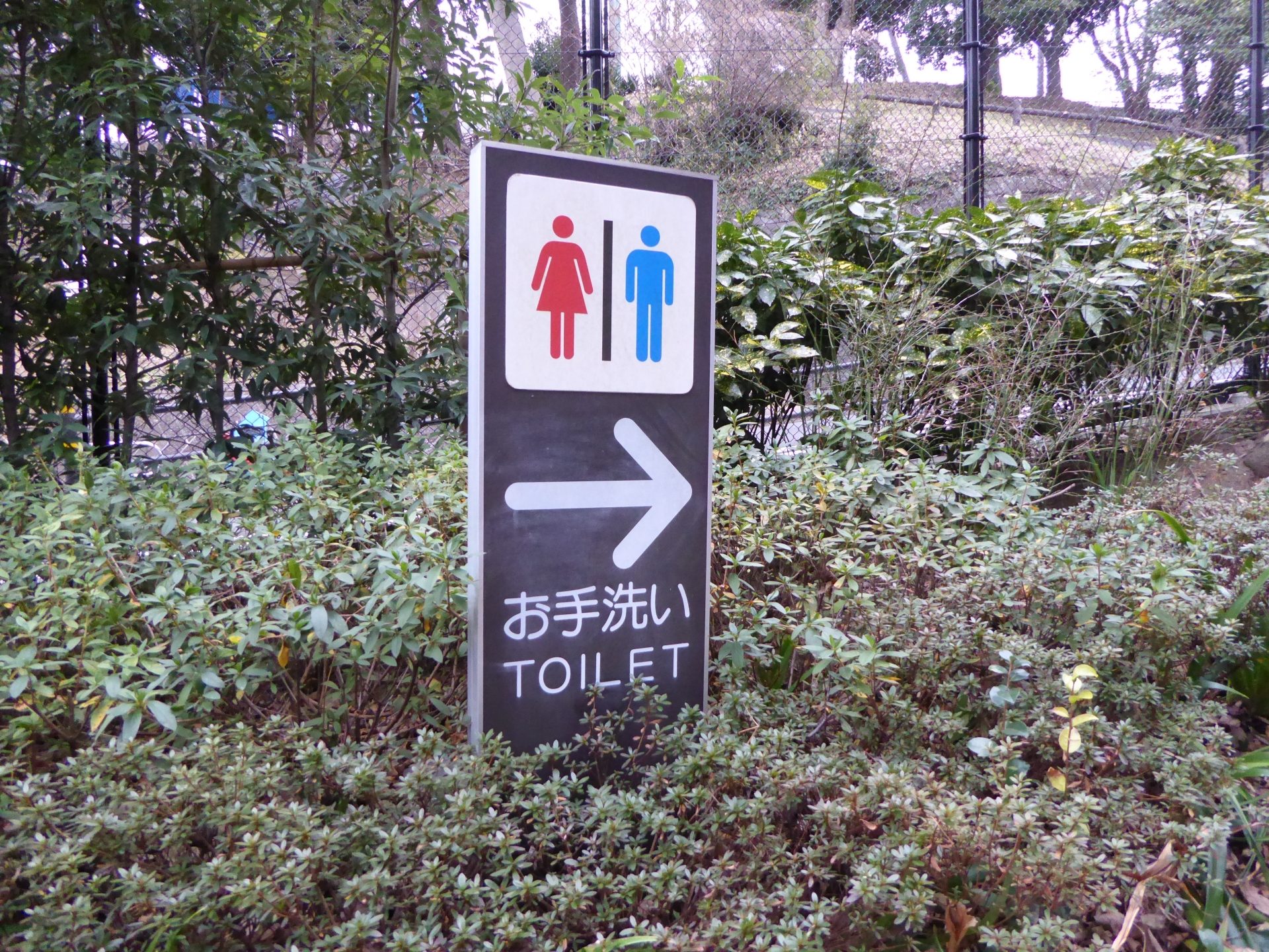 お手洗い.jpg