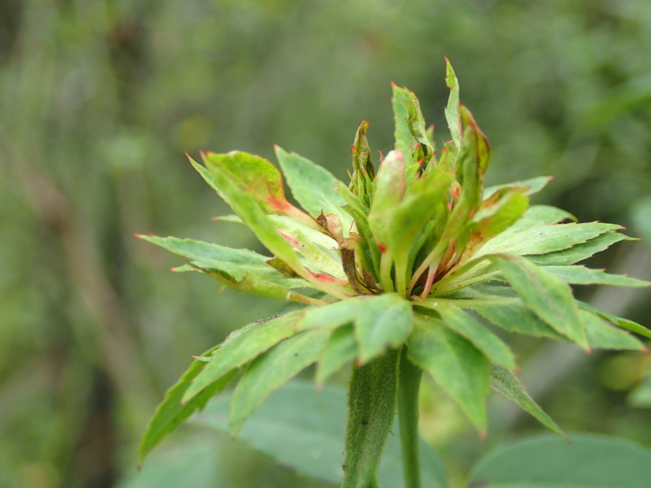 PA260510.JPG