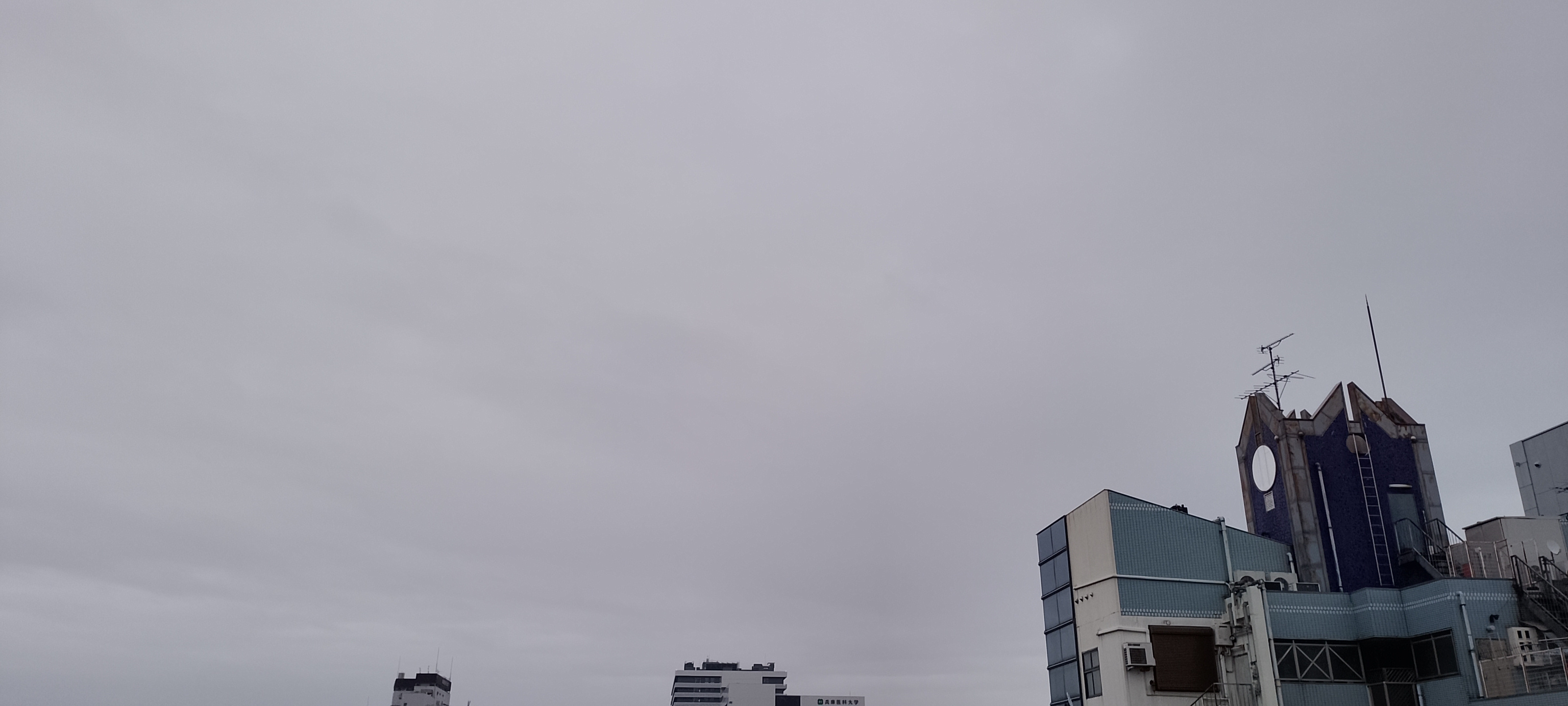 5873.jpg