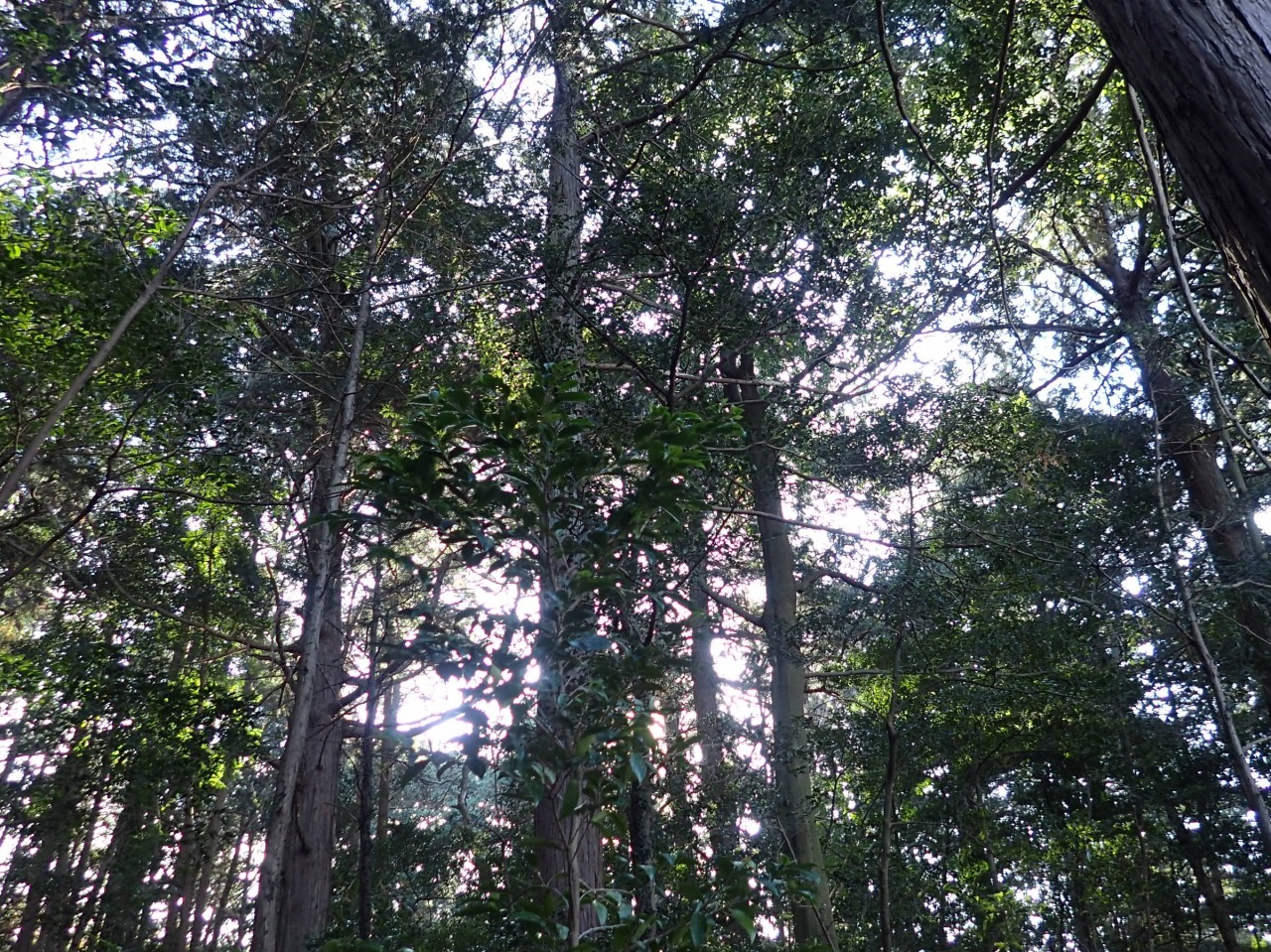 PC310107.JPG
