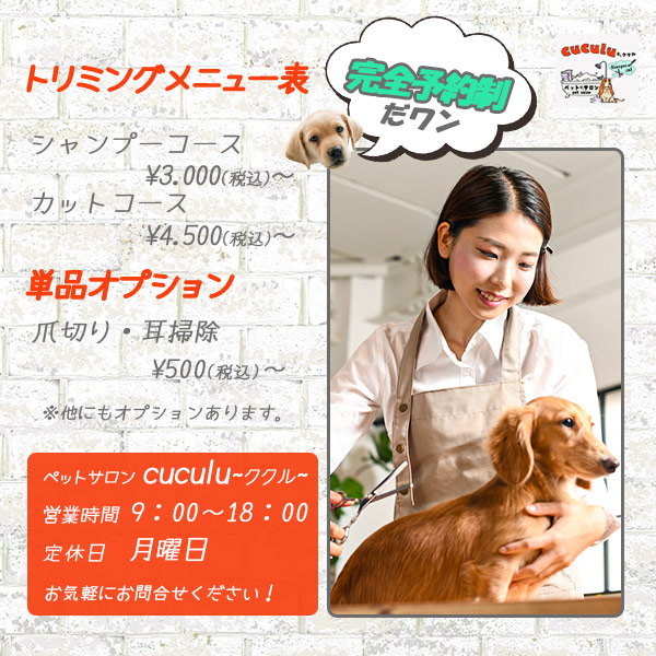 petshop宣伝用.jpg