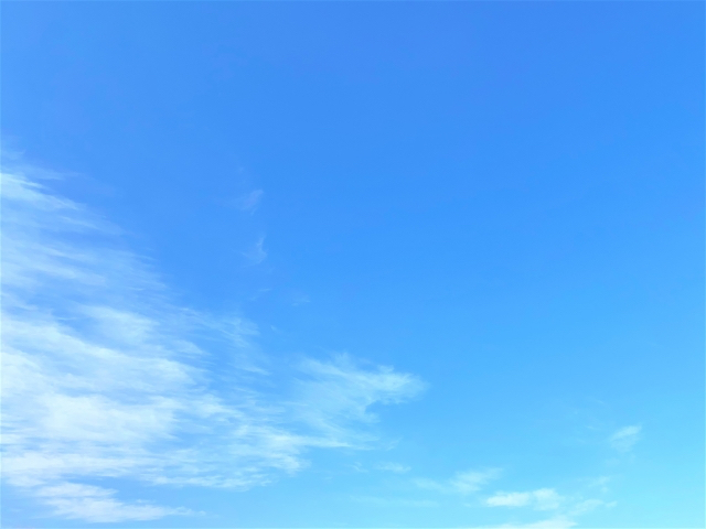 23397714_s-2.jpg