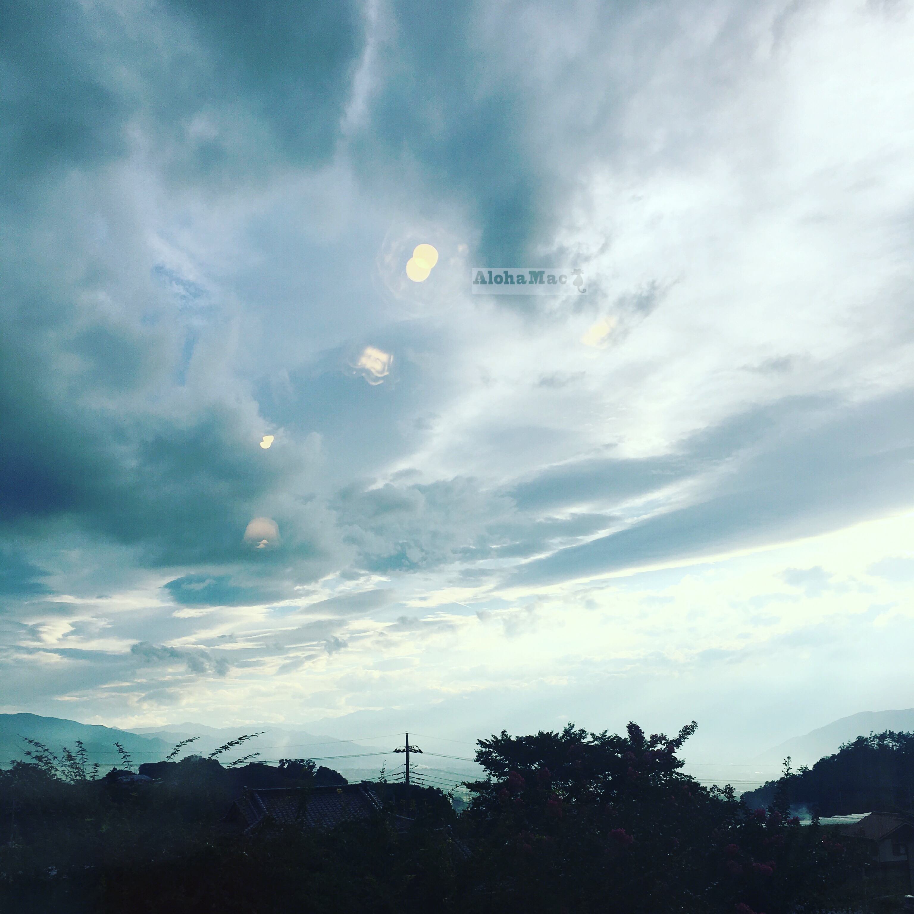 6DFD23D0-BF00-431F-90BB-0A236E9DA61C.jpg