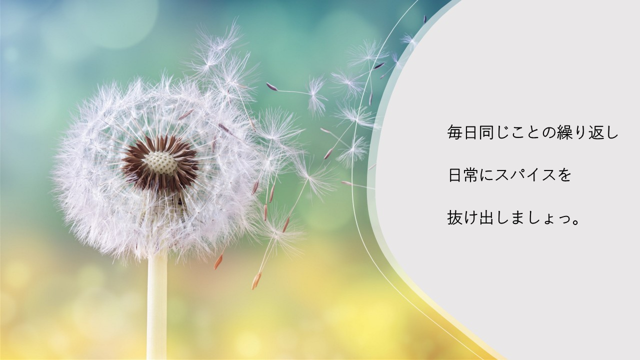 75292d65-096c-4770-909e-03d766fc234f_1.jpg