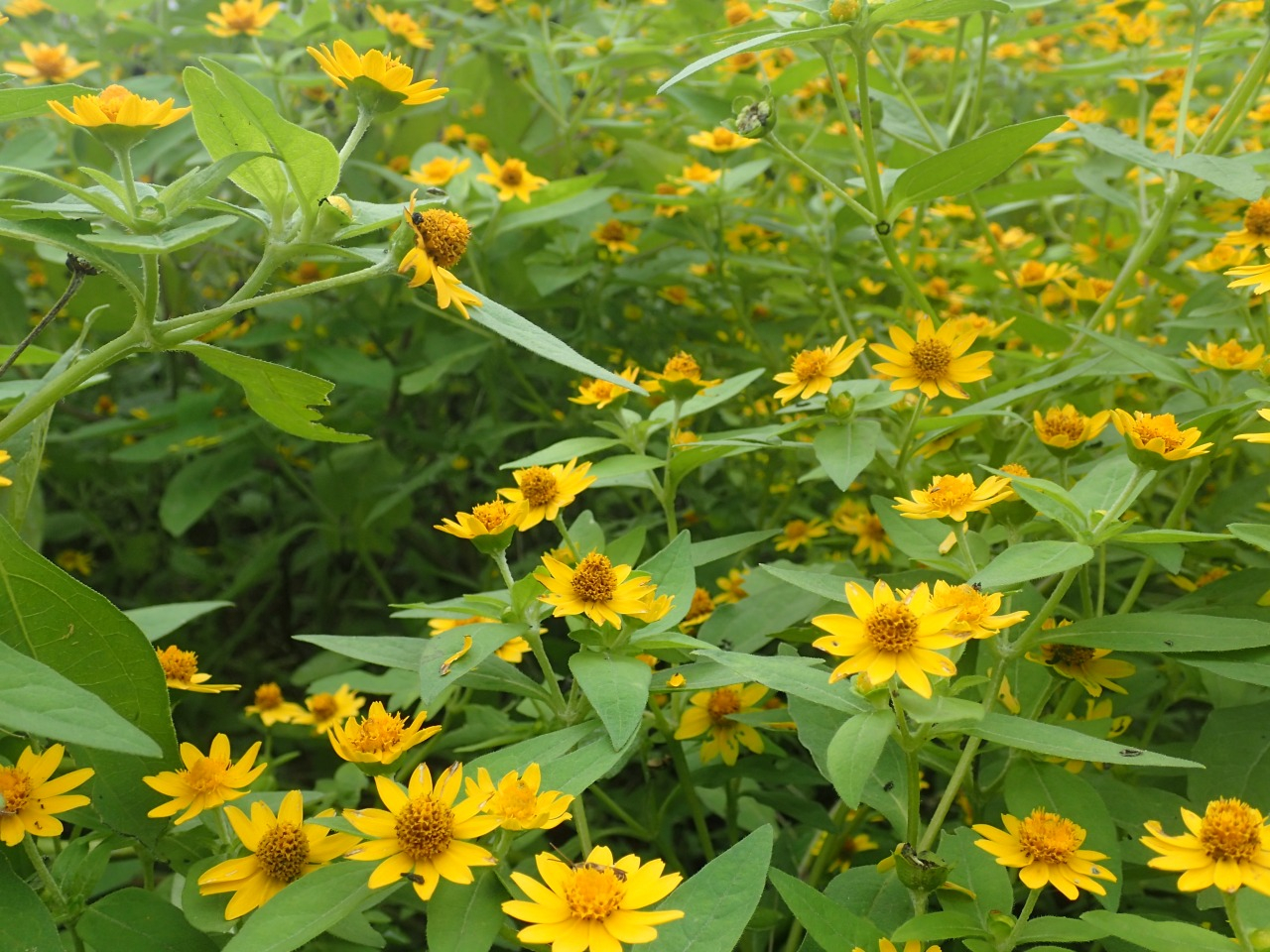 PA060086.JPG