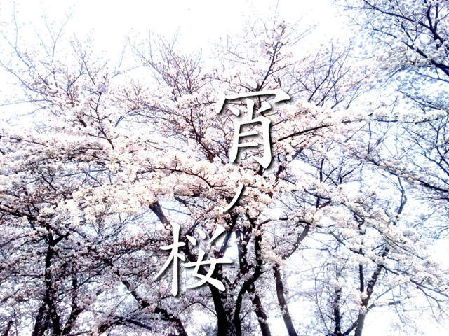 宵ノ桜・ジャケット.JPG