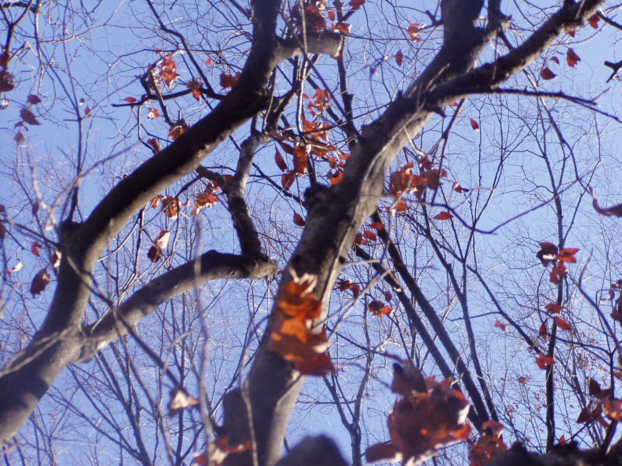 P1010047.JPG