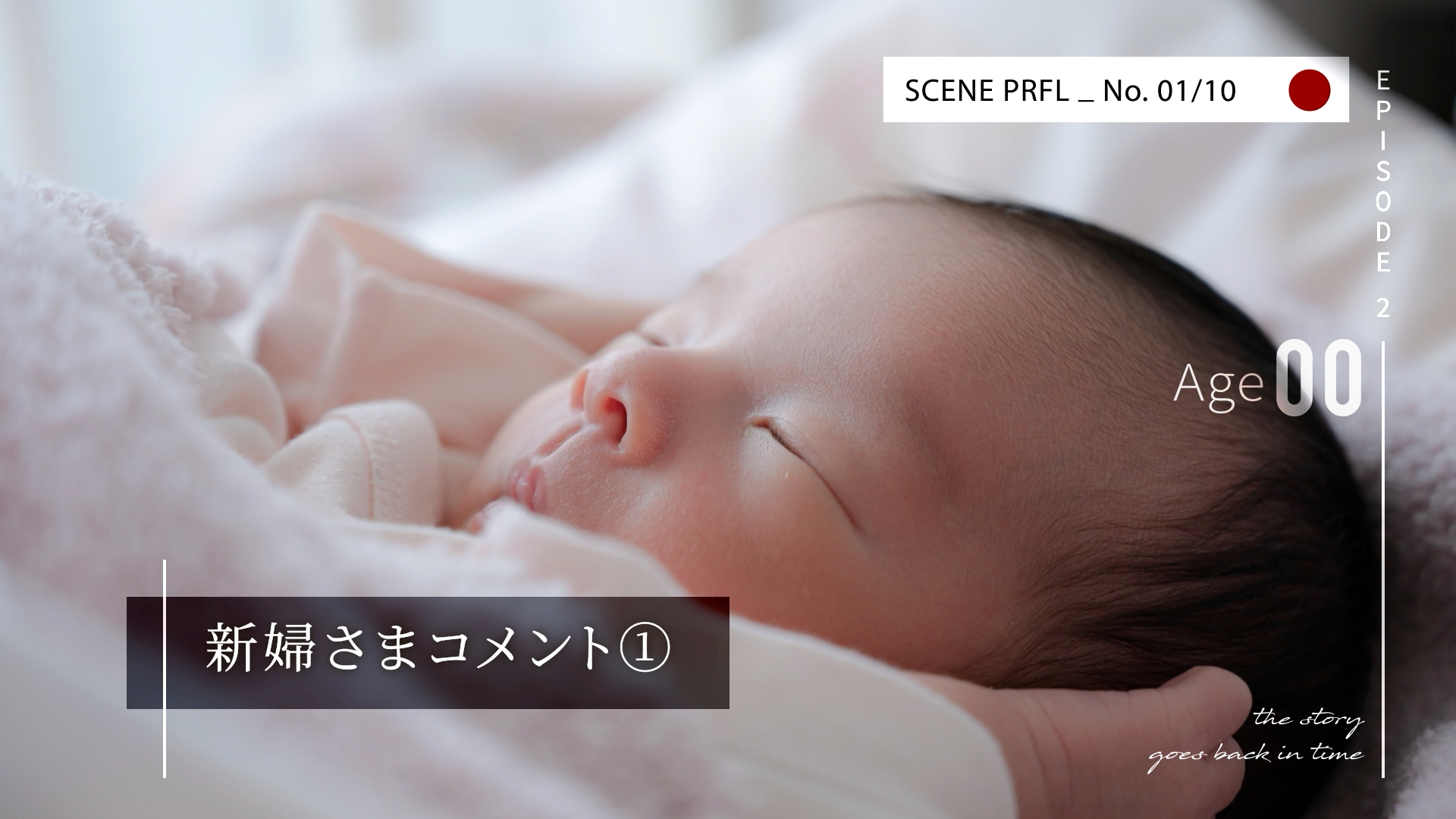 Profile_05.00_02_19_08.静止画002.png