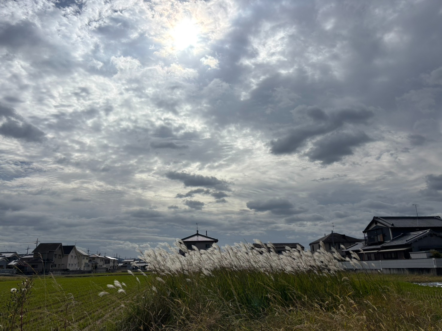 S__52715534_0.jpg