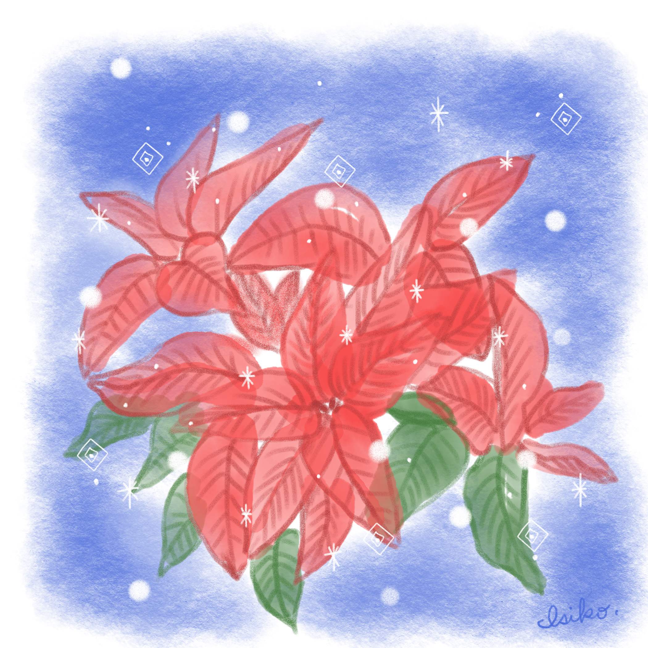 無題 - 2023年12月5日 13.59.46.jpg