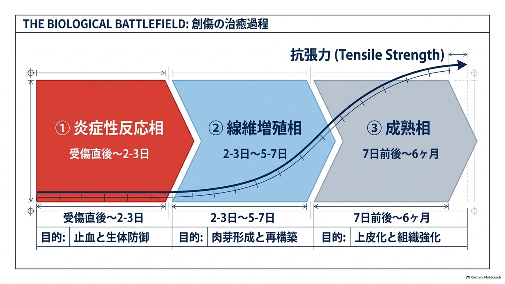 スライド3.PNG
