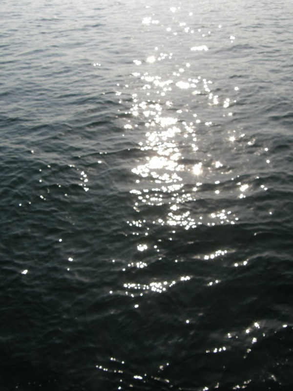 PA180359.JPG