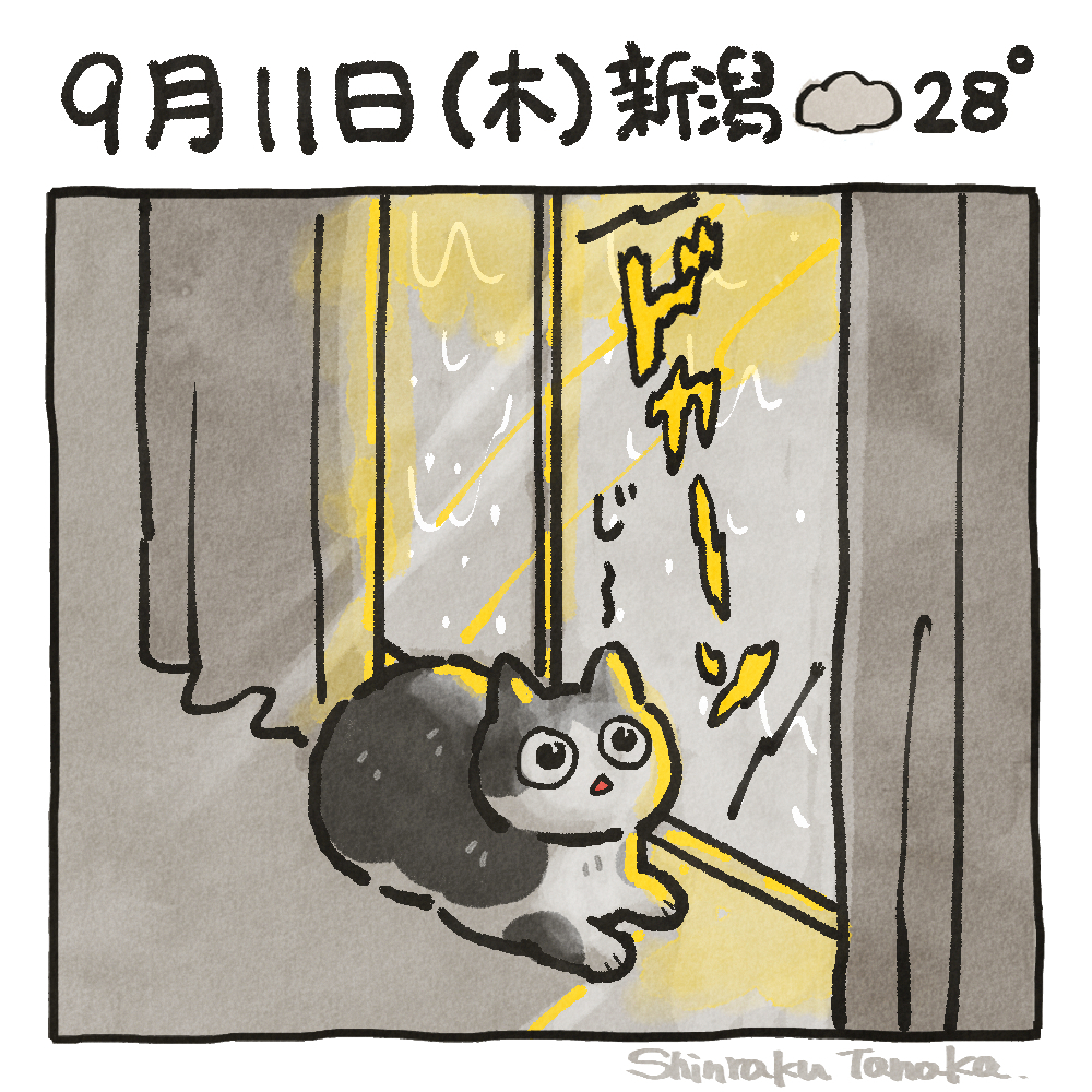 sns 9-11.jpg