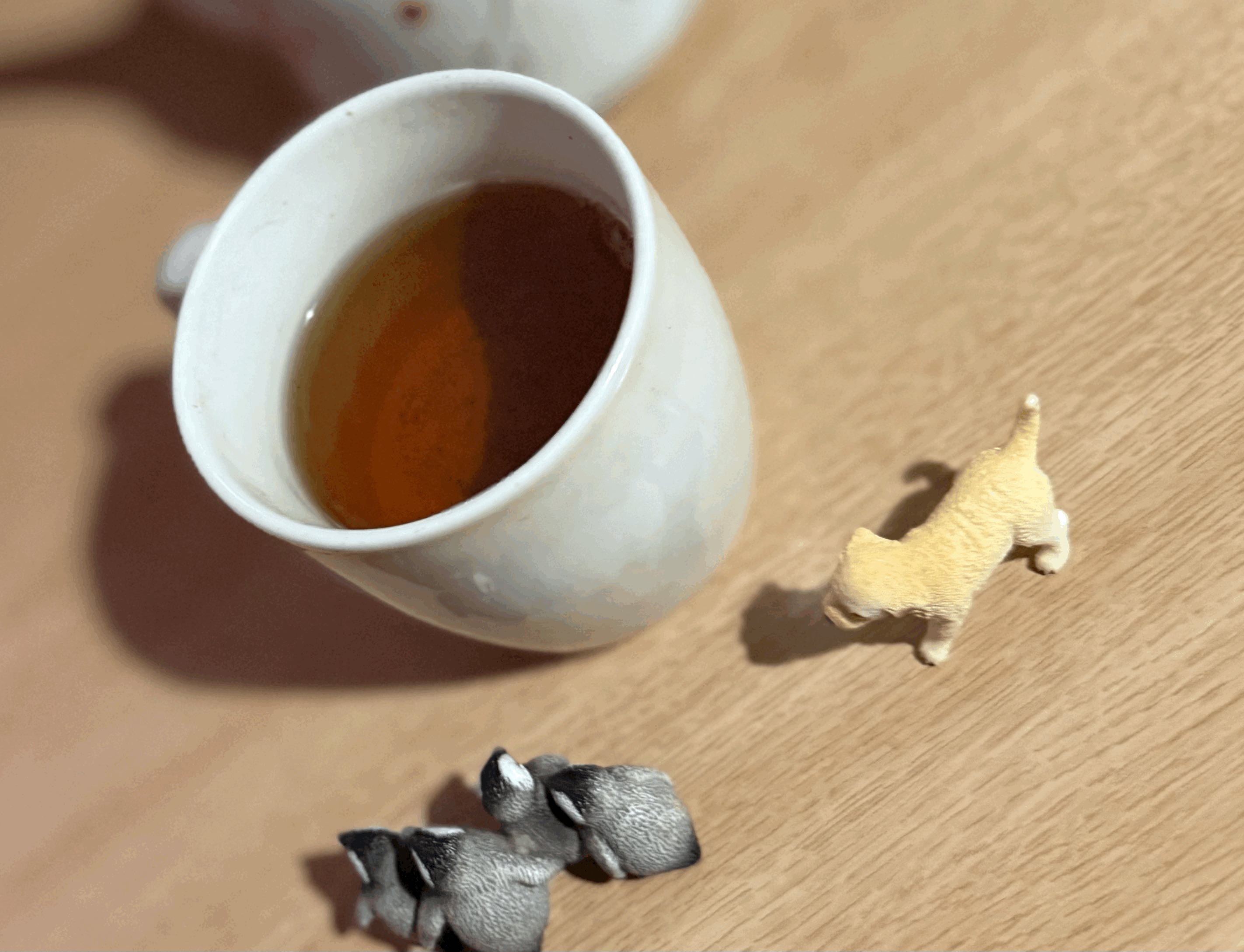 tempImagejkXmfX.gif