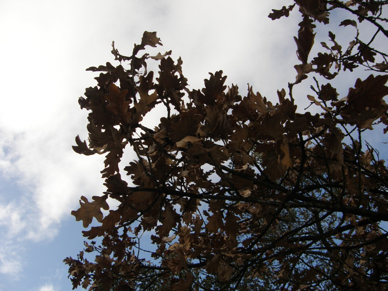 P1261376.JPG