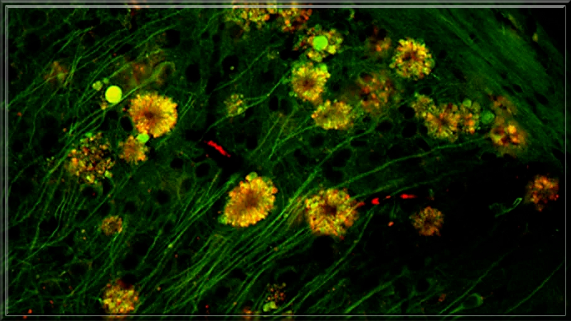 X6KXlEjGN6O7or51655149131_1655149166 (1).png