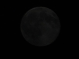 236198_s-s340.jpg