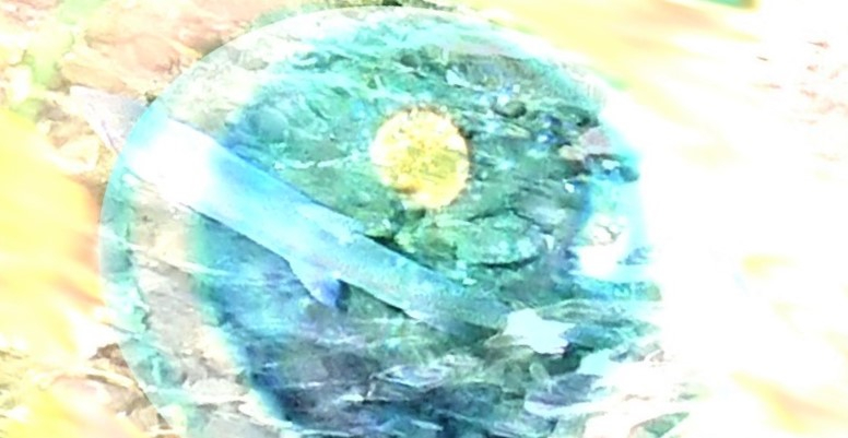 _20230321_115526 (5).JPG