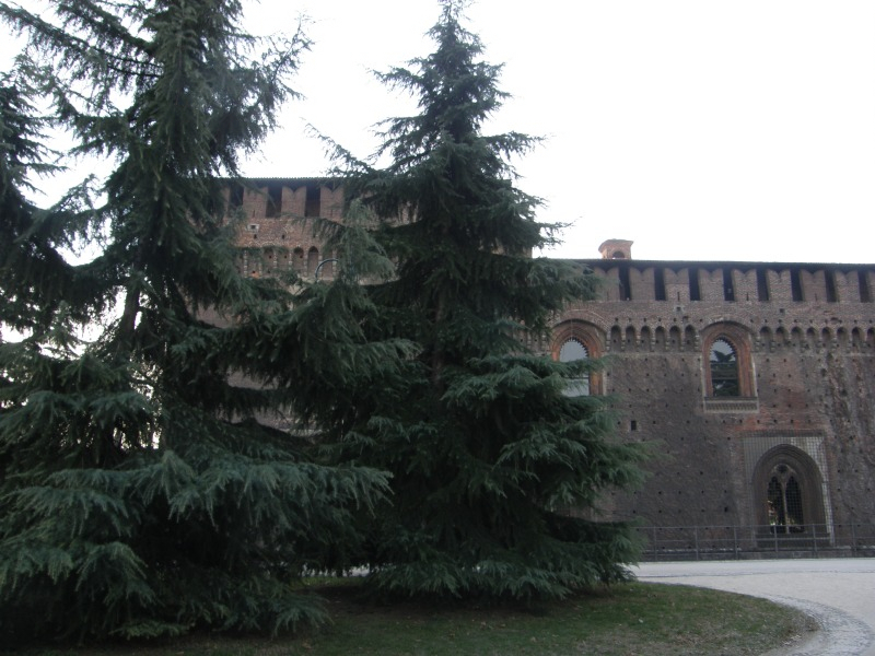 P2170395.JPG