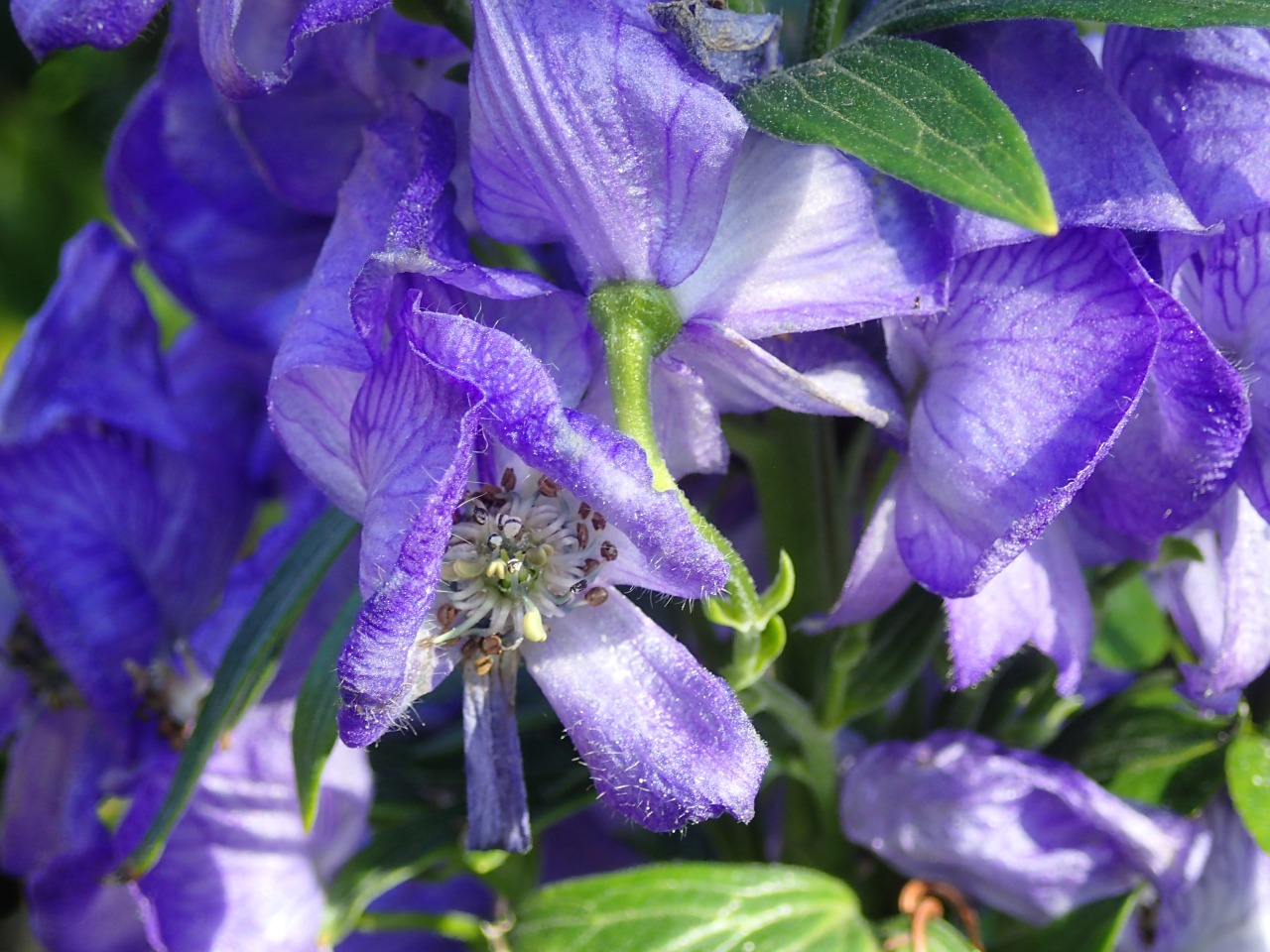 PB160174.JPG