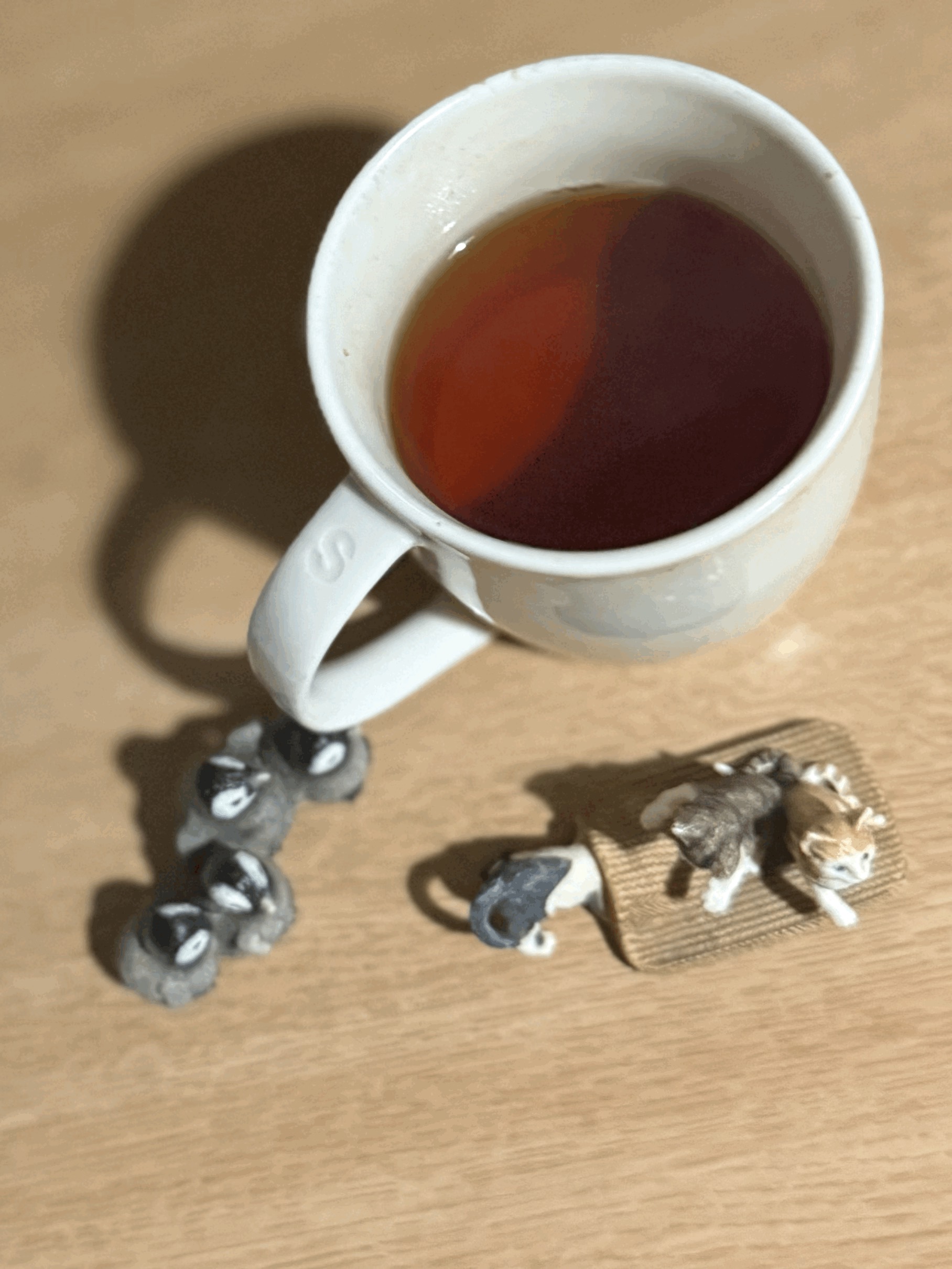 tempImagehvQIAV.gif