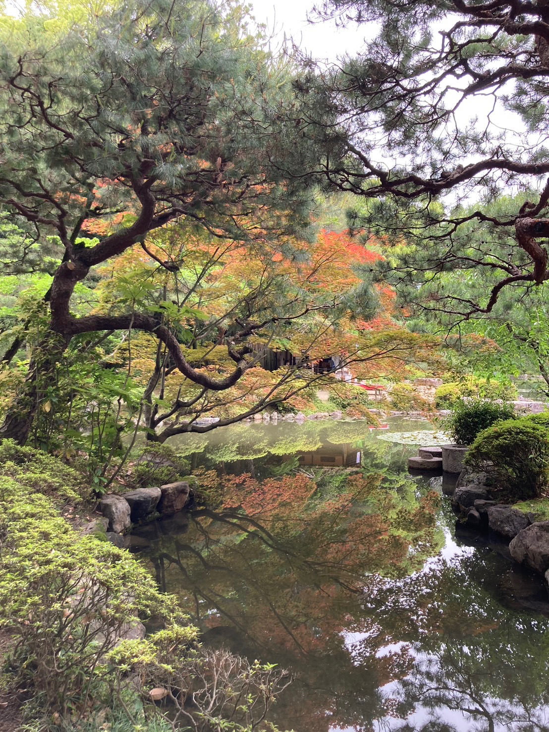 S__89604128.jpg