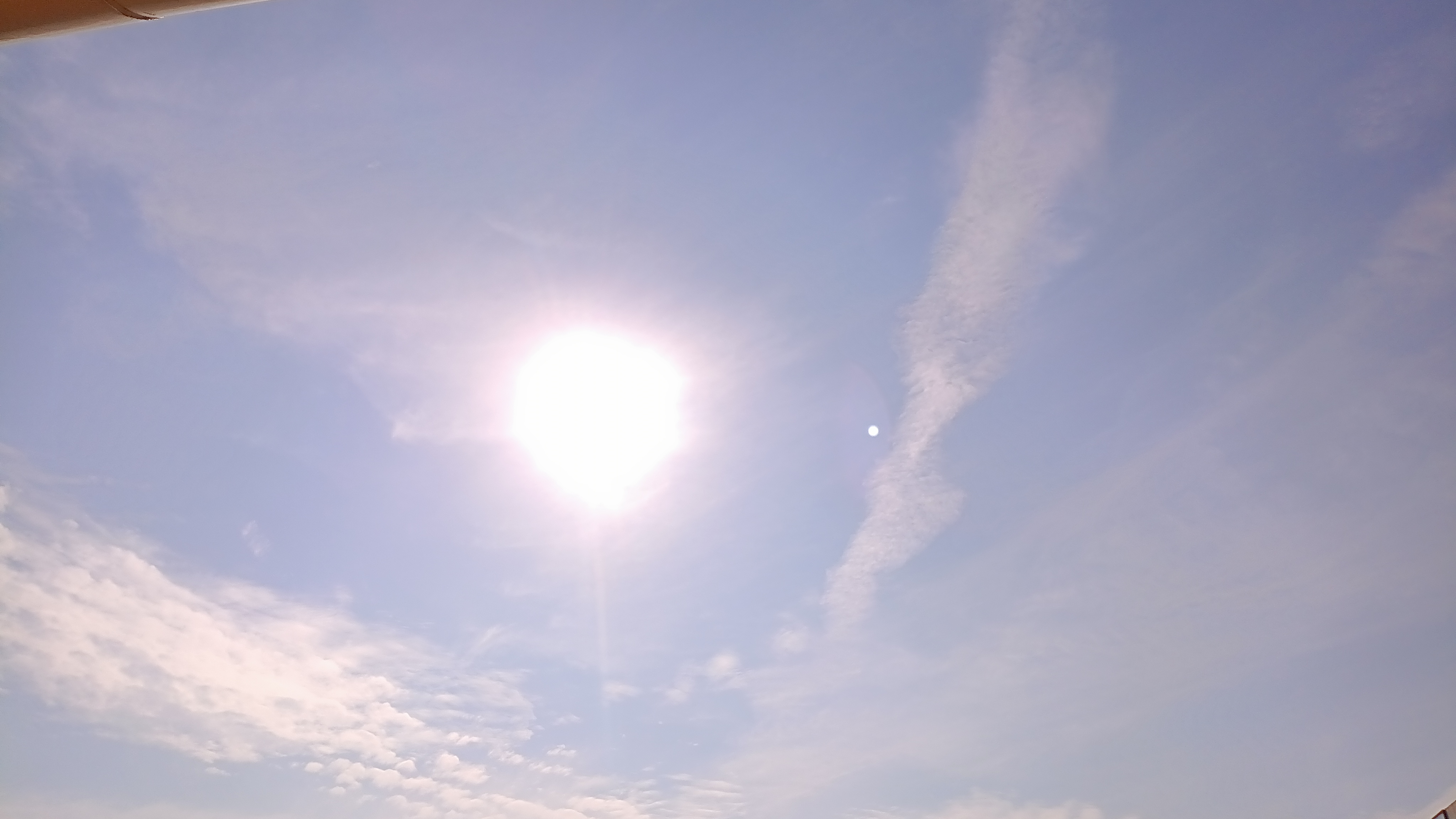 IMG_20250602_074016_890.jpg