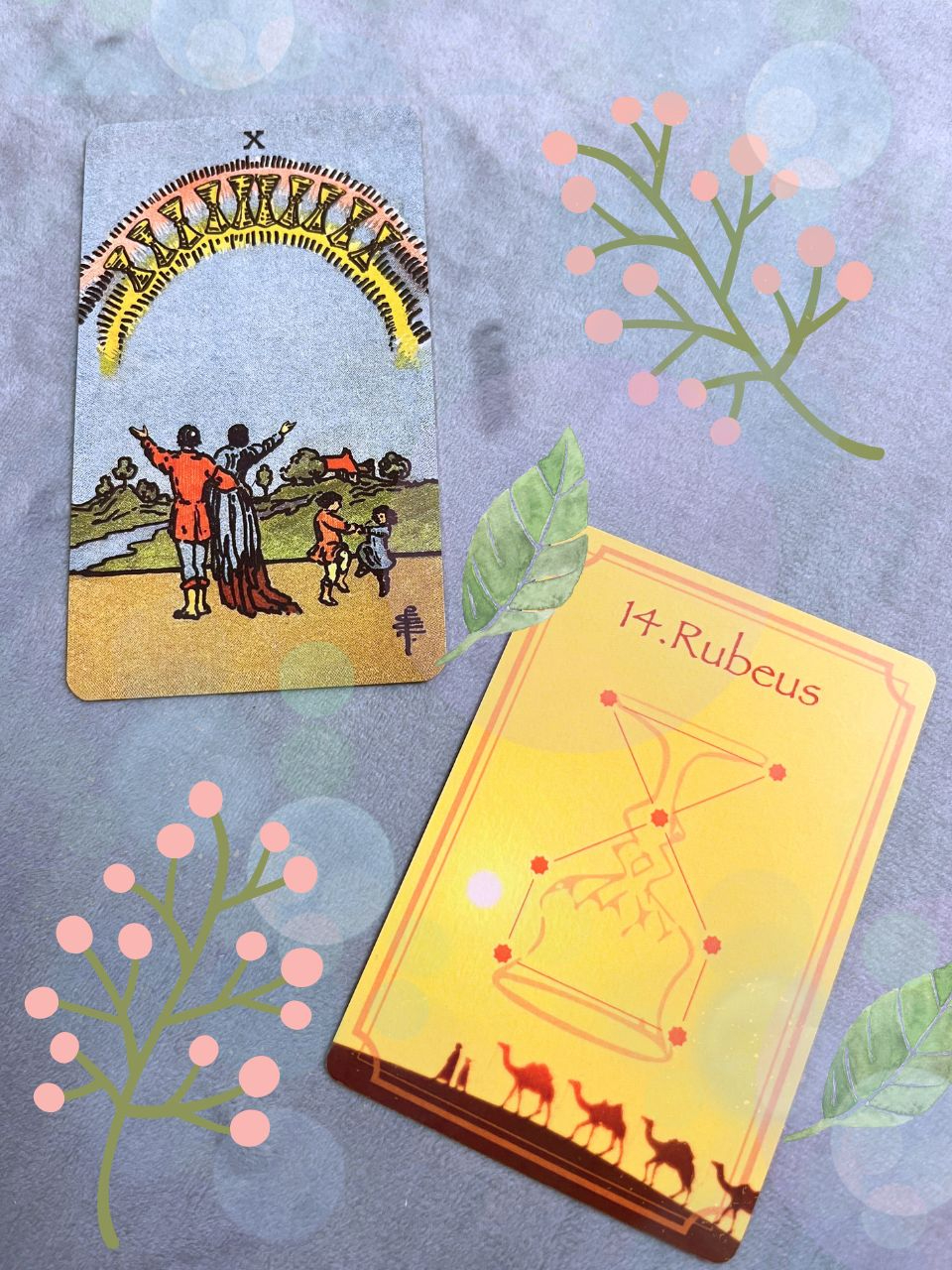 エックス　2枚 (59).jpg