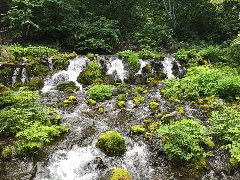 湧水.jpg