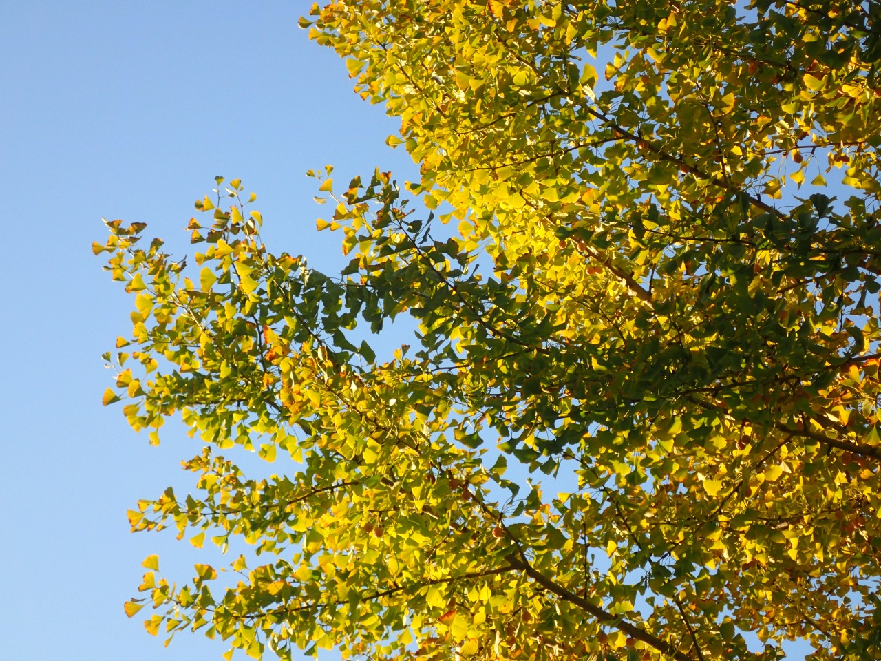 PA221204.JPG