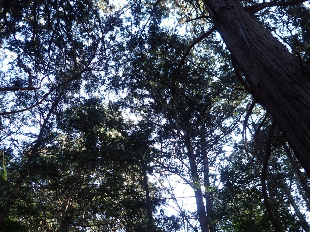 PC310134.JPG