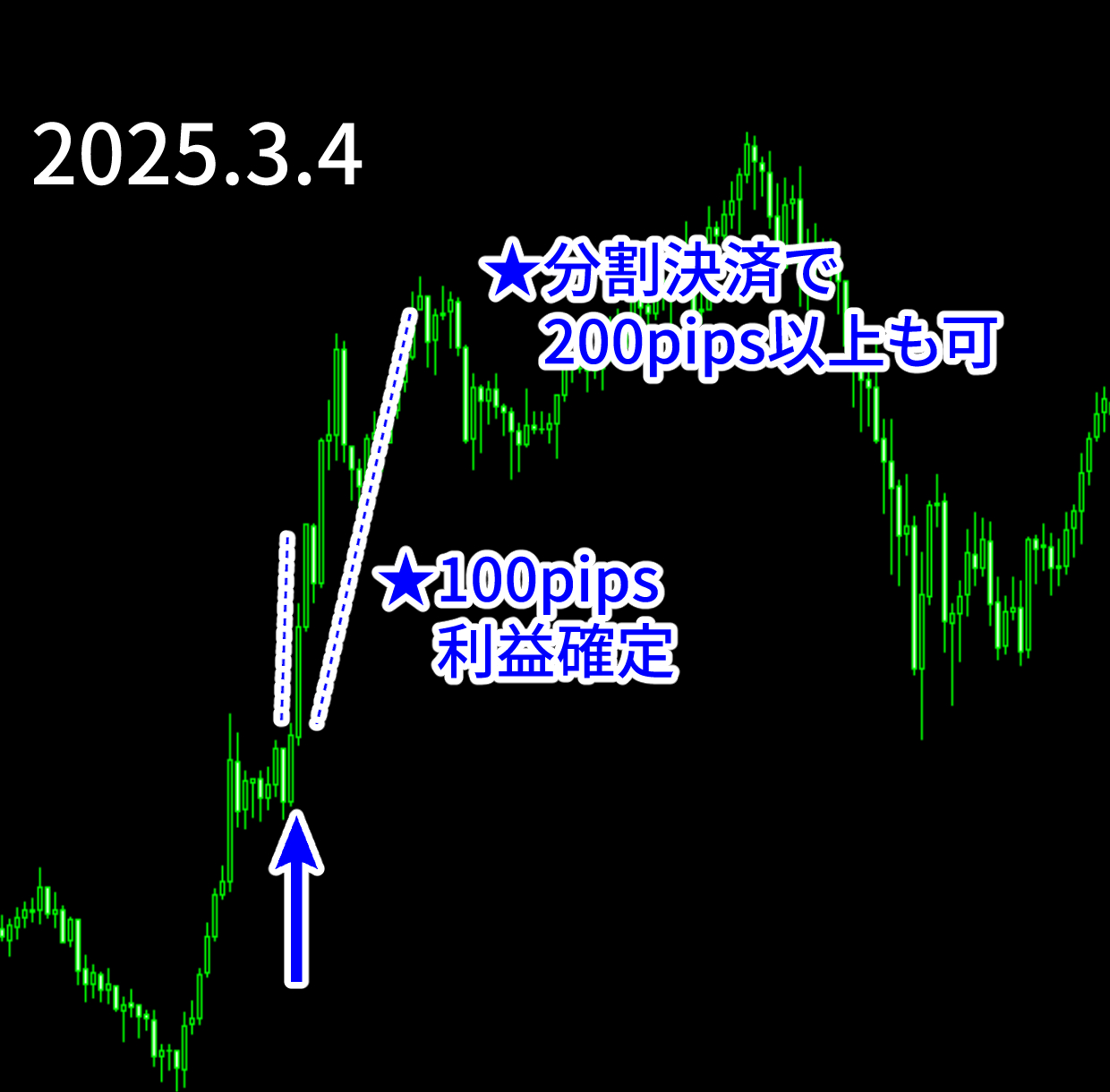 エントリー例_250304.png