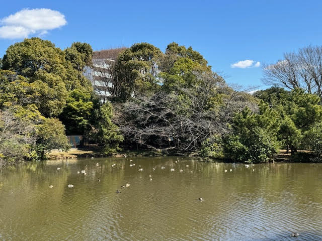 水鳥公園.jpg