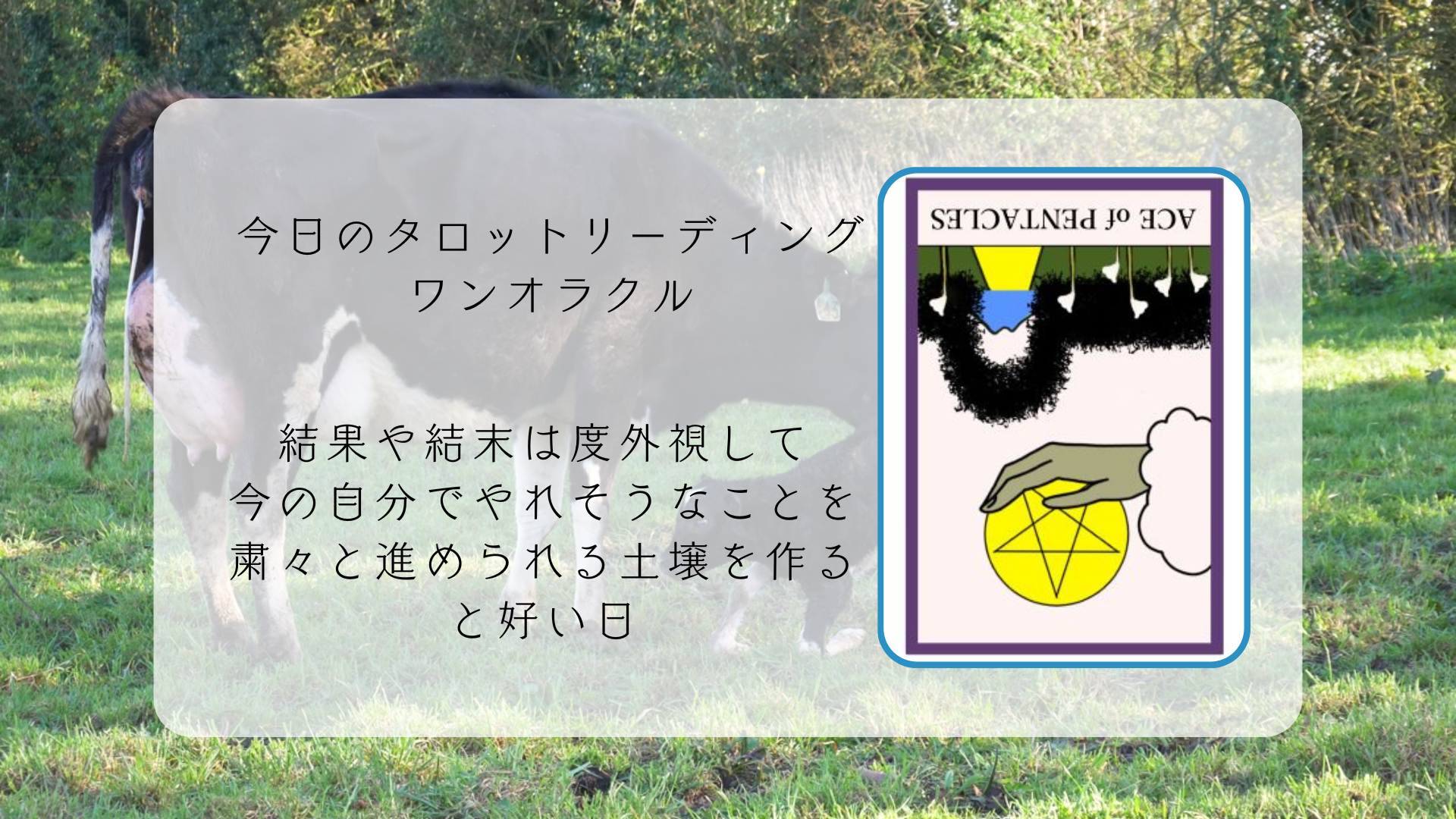 2026.2.3 ペンタクルのエースの逆位置.png