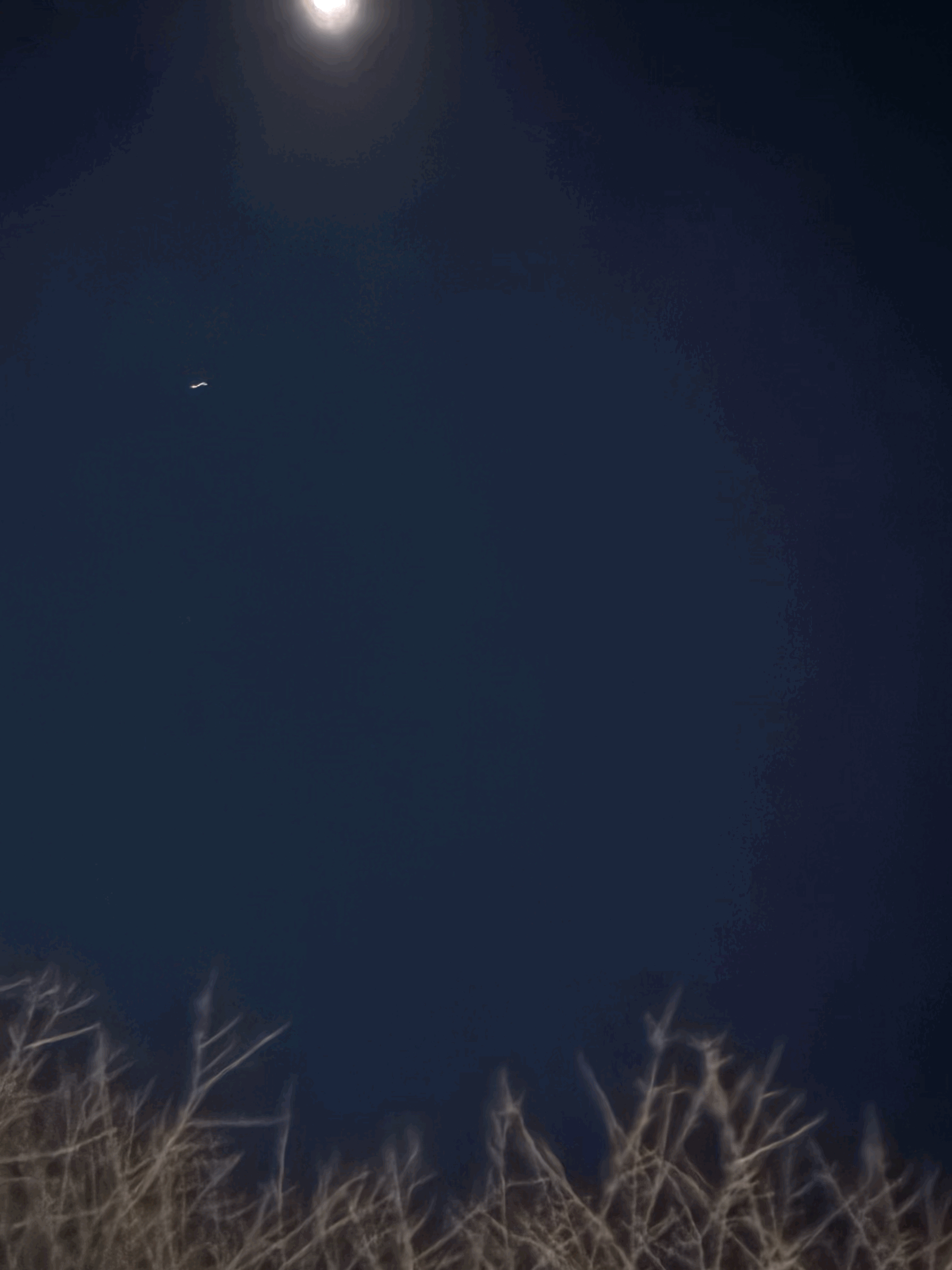 tempImageKJ1l3N.gif