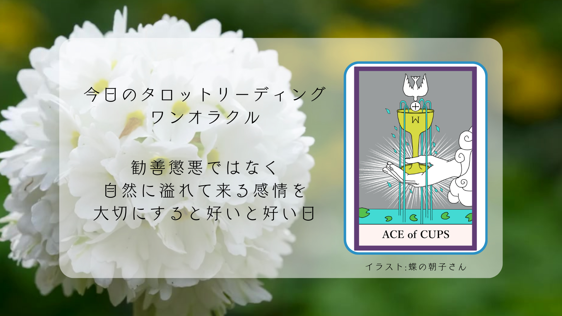 2025.5.2 カップのエース.png