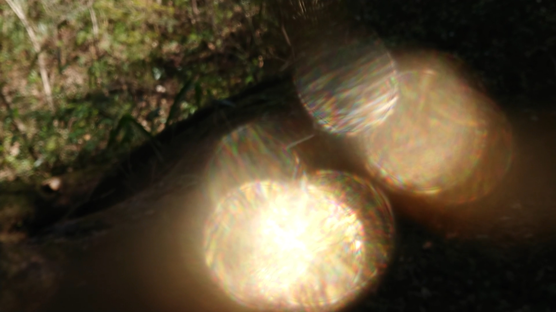 MOV_9069_000000.jpg
