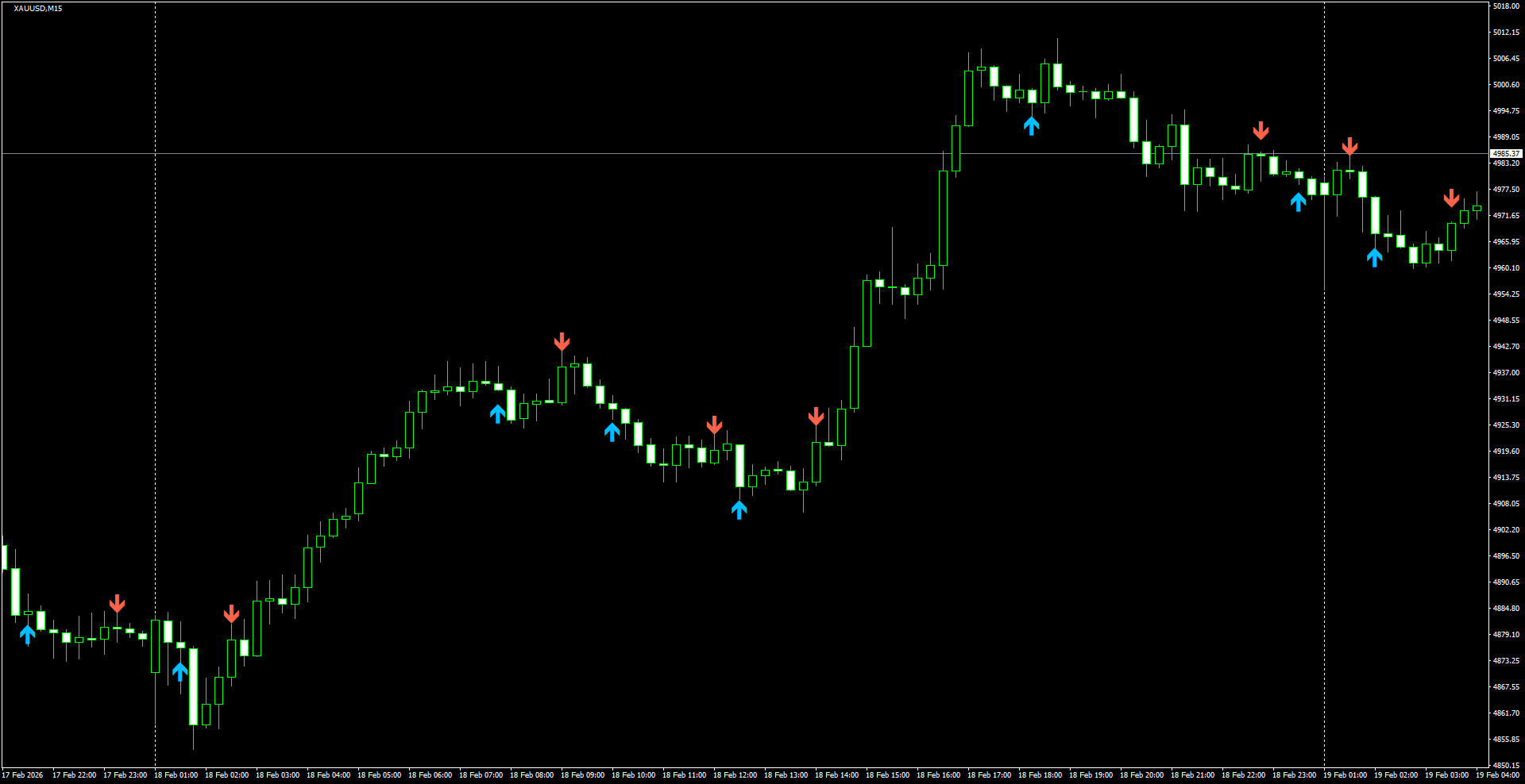 XAUUSD(M15)_2026.02.19_204230.png
